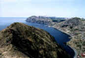 phot88.jpg (13040 oCg)