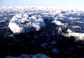phot9.jpg (21911 oCg)