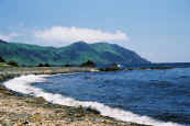 phot258.jpg (23065 oCg)