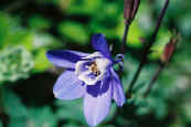 phot267.jpg (16935 oCg)