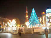 phot288.jpg (24327 oCg)