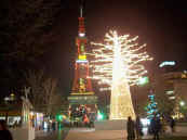 phot289.jpg (24290 oCg)