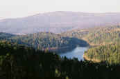 phot299.jpg (17731 oCg)