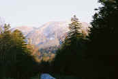 phot300.jpg (16300 oCg)