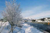 phot225.jpg (25388 oCg)