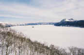 phot226.jpg (18165 oCg)