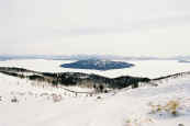 phot231.jpg (14218 oCg)
