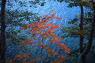 05aki10_photo-10.jpg (75430 バイト)