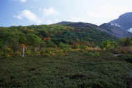 05aki10_photo-15.jpg (48251 バイト)