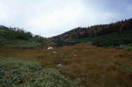 05aki10_photo-19.jpg (37156 バイト)