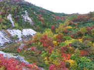 05aki10_photo-1.jpg (55276 oCg)