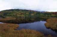 05aki10_photo-21.jpg (34764 バイト)