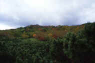 05aki10_photo-22.jpg (27797 バイト)