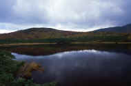 05aki10_photo-24.jpg (23082 バイト)