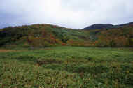 05aki10_photo-25.jpg (54837 バイト)