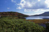 05aki10_photo-28.jpg (48362 バイト)