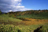05aki10_photo-31.jpg (59141 バイト)