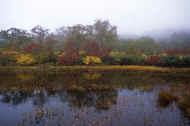 05aki10_photo-6.jpg (43054 oCg)