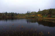 05aki10_photo-7.jpg (26356 oCg)