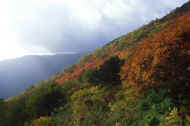 05aki9_photo-18.jpg (30106 バイト)