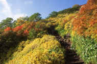 05aki9_photo-19.jpg (57501 バイト)
