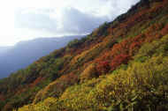 05aki9_photo-21.jpg (41602 バイト)