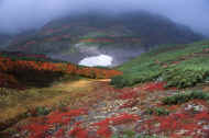 05aki9_photo-28.jpg (39432 バイト)