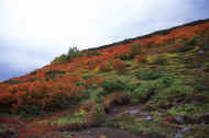 05aki9_photo-6.jpg (34363 oCg)
