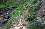 05shyka6_photo-13.jpg (51893 oCg)