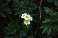 05shyka6_photo-14.jpg (17433 oCg)