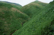 05shyka6_photo-1.jpg (42300 バイト)