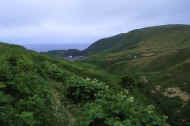 05shyka6_photo-2.jpg (26339 バイト)