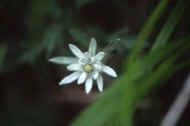 05shyka6_photo-7.jpg (12742 バイト)