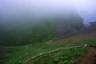05shyka6_photo-8.jpg (22462 バイト)