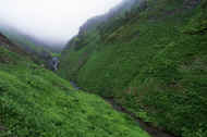 05shyka6_photo-9.jpg (39011 バイト)