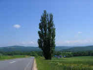 05shyka7_photo-25.jpg (22063 oCg)