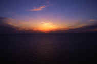 05shyka7_photo-4.jpg (11707 oCg)