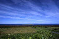 05shyka7_photo-9.jpg (26243 oCg)