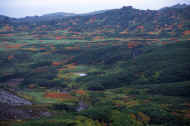06_aki_photo-11.jpg (55533 oCg)