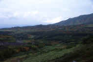 06_aki_photo-12.jpg (34108 oCg)