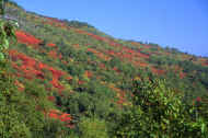 06_aki_photo-13.jpg (80762 バイト)