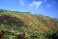 06_aki_photo-14.jpg (65819 バイト)