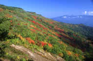 06_aki_photo-15.jpg (72749 バイト)