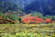 06_aki_photo-17.jpg (94687 バイト)