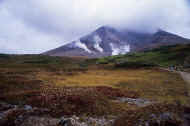 06_aki_photo-1.jpg (50234 oCg)