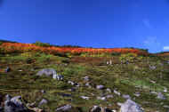 06_aki_photo-20.jpg (62840 バイト)
