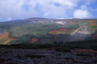 06_aki_photo-21.jpg (42584 バイト)