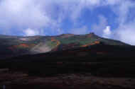 06_aki_photo-22.jpg (27046 バイト)