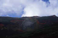 06_aki_photo-23.jpg (25894 バイト)