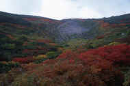 06_aki_photo-24.jpg (46338 バイト)